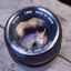 CANON FD LENS 50MM. F1.4 จมูกเงิน FD MOUNT