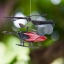 NIKON NIKKOR 85MM.F2 AI MOUNT