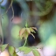 NIKKOR-S AUTO 50MM.F1.4 NON Ai MOUNT
