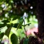 PENTAX-F-ZOOM 28-80MM.F3.5-4.5 MACRO