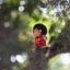 HELIOS-44-2 58MM.F2 M42 MOUNT