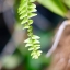 SMC PENTAX-M 50MM.F1.4 PK MOUNT