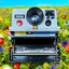 VINTAGE POLALOID LAND CAMERA 1000