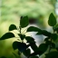 6KP-50MM.F1.2 MODIFLY SONY E MOUNT