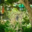 COSMICAR/PENTAX TV LENS 25MM.F1.4 C MOUNT