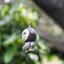 SMC PENTAX-M 50MM.F1.4 PK MOUNT