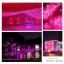 ไฟไม่กระพริบ LED สีชมพู ไฟประดับตกแต่ง