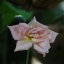 MINOLTA MD ZOOM 70-210MM.F4.5-5.6 MACRO MD MOUNT
