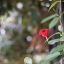 MAMIYA-SEKOR F.C 48MM. F1.9 MODIFLY SONY NEX MOUNT